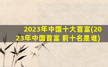 2023年中国十大首富(2023年中国首富 前十名是谁)